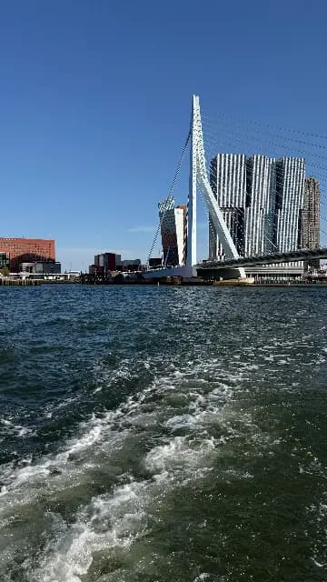 Test van Deryoyoyo 🤪