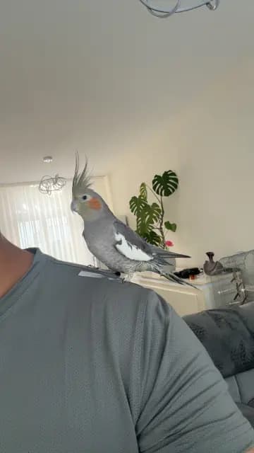 Foto zonder titel